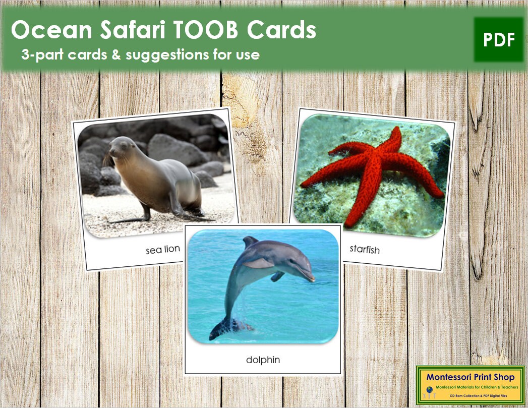 Ocean Safari TOOB Cards Printable Montessori Cards Digital | Etsy