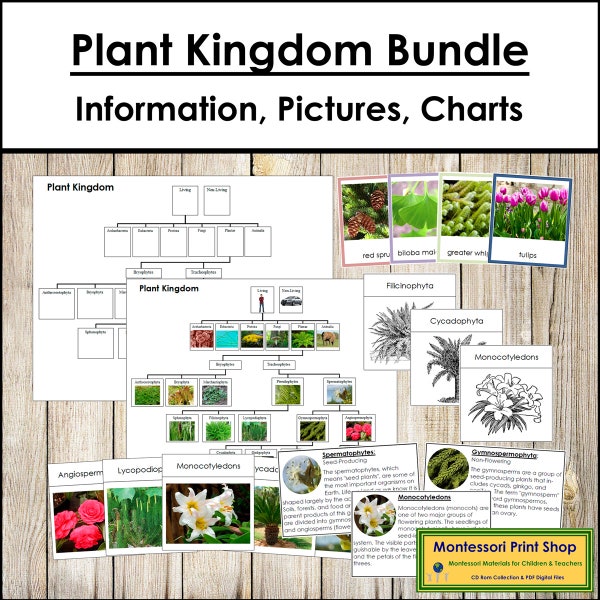 Plant Kingdom Cards, Charts & Information Bundle (color-coded) - Montessori Botany - Printable Montessori Cards - Digital Download