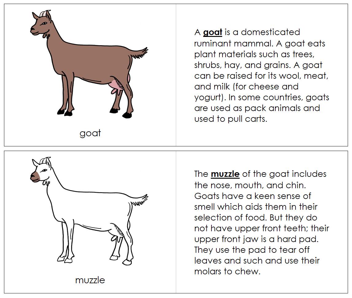 Parts of a Goat Nomenclature Book - Montessori Zoology (digital ...