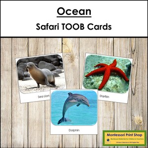 Ocean Safari TOOB Cards - Cartes Montessori imprimables - Téléchargement numérique