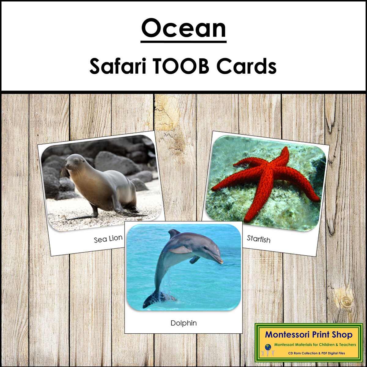 Ocean Safari TOOB Cards Printable Montessori Cards Digital - Etsy