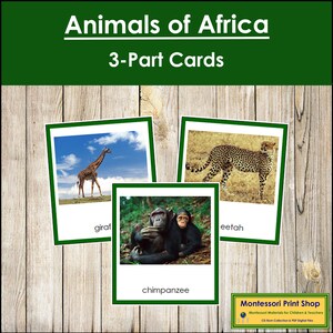 Animais da África (codificados por cores) - Cartões Montessori Continentais - Geografia - Cartões Montessori para Imprimir - Download Digital