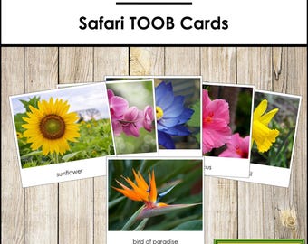 Flowers Safari Toob Montessori 3-part Cards PDF File - Etsy