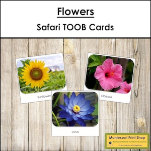 Carte TOOB di Flowers Safari - Carte Montessori stampabili - Download digitale
