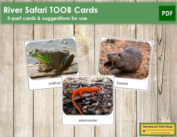 River Safari TOOB Cards Printable Montessori Cards Digital | Etsy