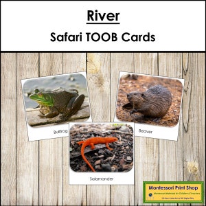 Carte TOOB River Safari - Carte Montessori stampabili - Download digitale