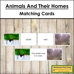 Animaux et leurs maisons assorties cartes - zoologie - cartes Montessori imprimables - téléchargement numérique