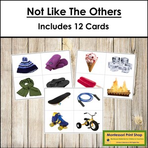 Not Like The Others (Set 1) - Preschool - Printable Montessori Cards - Digital Download