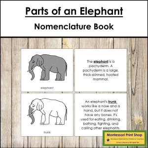Libro sulla nomenclatura delle parti di un elefante - Zoologia Montessori - Materiali Montessori stampabili - Download digitale