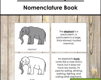 Parts of an Elephant Nomenclature Book - Montessori Zoology - Printable Montessori Materials - Digital Download