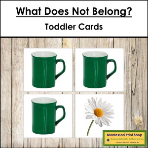 Cosa non appartiene? - Materiali Montessori stampabili per bambini piccoli - Download digitale