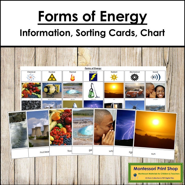 Forms of Energy Information, Sorting Cards & Control Chart - Montessori Science - Printable Montessori Cards - Digital Download
