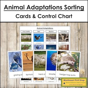 Sorteerkaarten dierenaanpassingen en controlekaart - wetenschap - afdrukbare montessorikaarten - digitale download