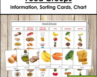 Food Groups Sorting Cards & Control Charts - Printable Montessori Science Cards - Digital Download