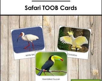 Exotic Birds Safari TOOB Cards - Printable Montessori Cards - Digital Download