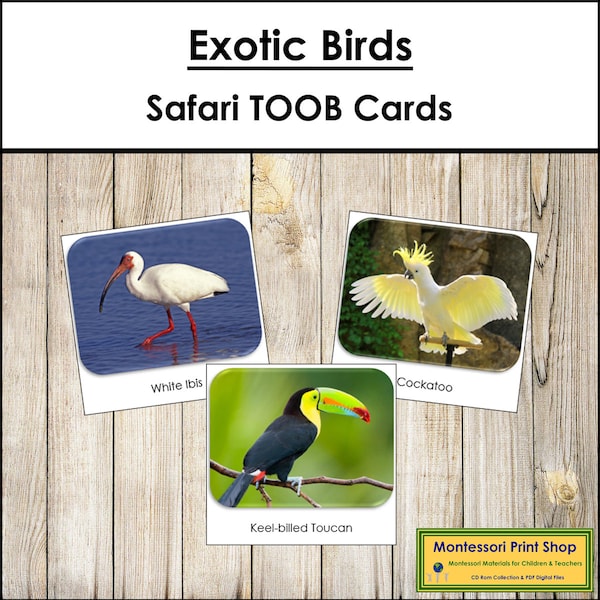 Exotic Birds Safari TOOB Cards - Printable Montessori Cards - Digital Download