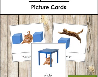 Schede illustrate con preposizione (Gatto) - Lingua e grammatica Montessori - Schede Montessori stampabili - Download digitale