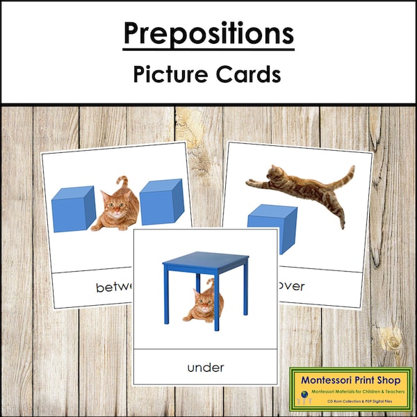 Preposition Picture Cards (Cat) - Montessori Language & Grammar - Printable Montessori Cards - Digital Download