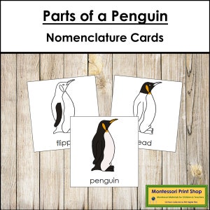 Tarjetas de 3 partes con la nomenclatura de las partes de un pingüino - Zoología Montessori - Materiales Montessori imprimibles - Descarga digital