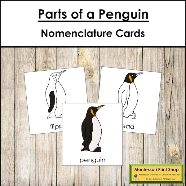 Parts of a Penguin Nomenclature 3-Part Cards - Montessori Zoology - Printable Montessori Materials - Digital Download