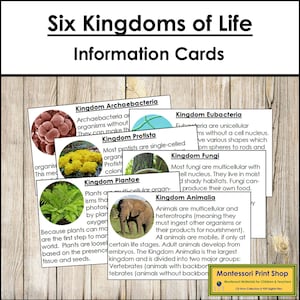 Informatiekaarten Six Kingdoms of Life - Montessoriwetenschap - Afdrukbare Montessorikaarten - Digitale download