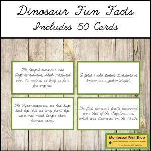 Curiosità sui dinosauri (corsivo) - Montessori Science & Zoology - Schede Montessori stampabili - Download digitale