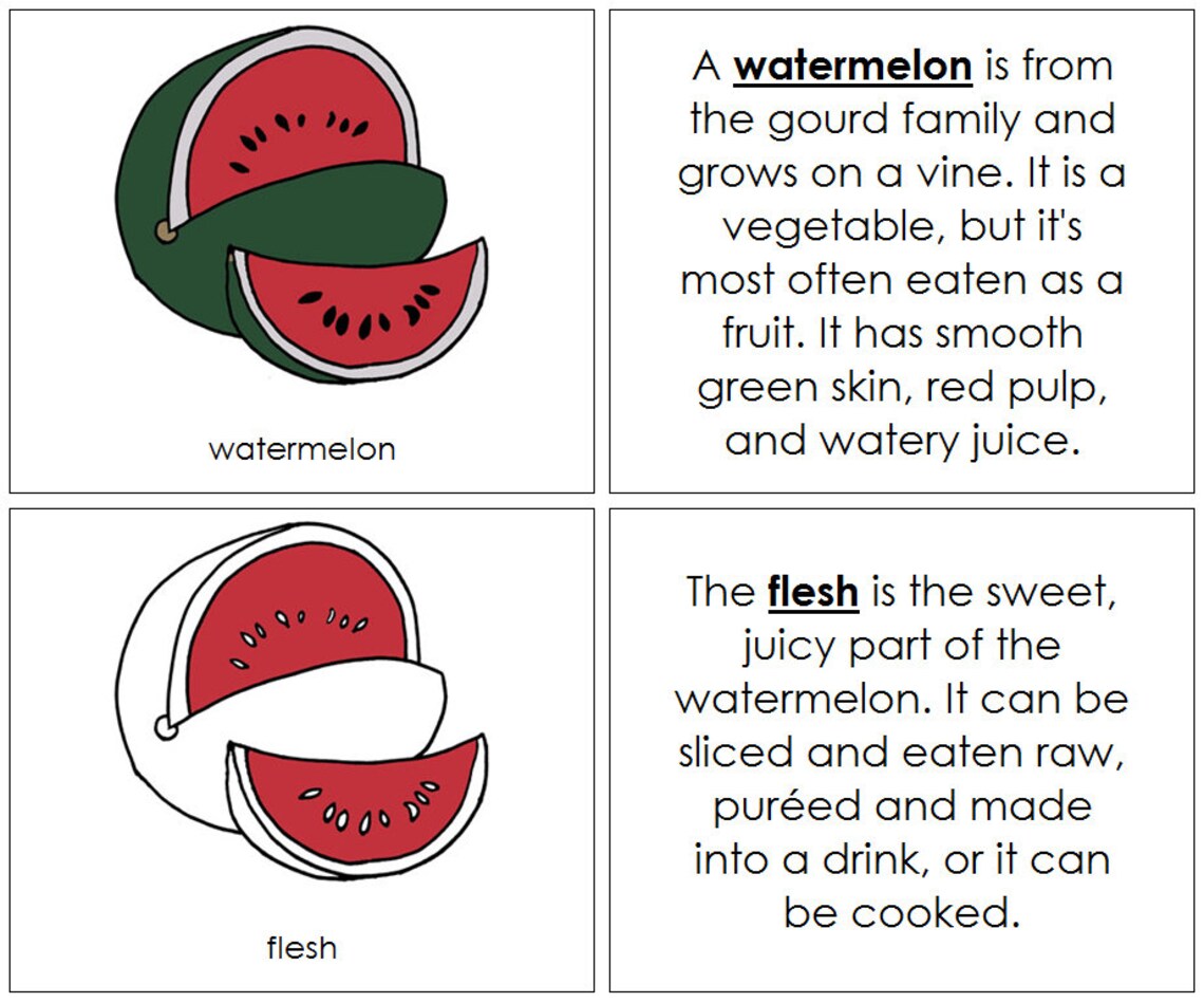 Parts of a Watermelon Nomenclature Book Botany Printable Etsy Canada