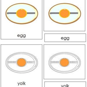 Parts of an Egg Nomenclature 3-Part Cards Science | Etsy
