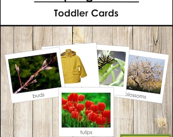 Spring Season Cards - Printable Toddler Montessori Material (Digital Download)