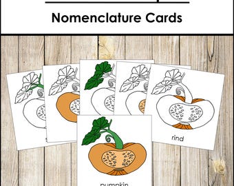 Nomenclature des parties d'une citrouille en 3 parties et maître ligne noire - Botanique Montessori (téléchargement numérique)