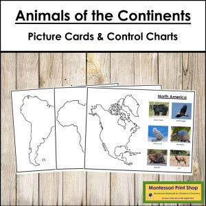 Tiere des Kontinents Set 2 - Montessori Geographie und Zoologie - druckbare Montessori Materialien - digitaler Download
