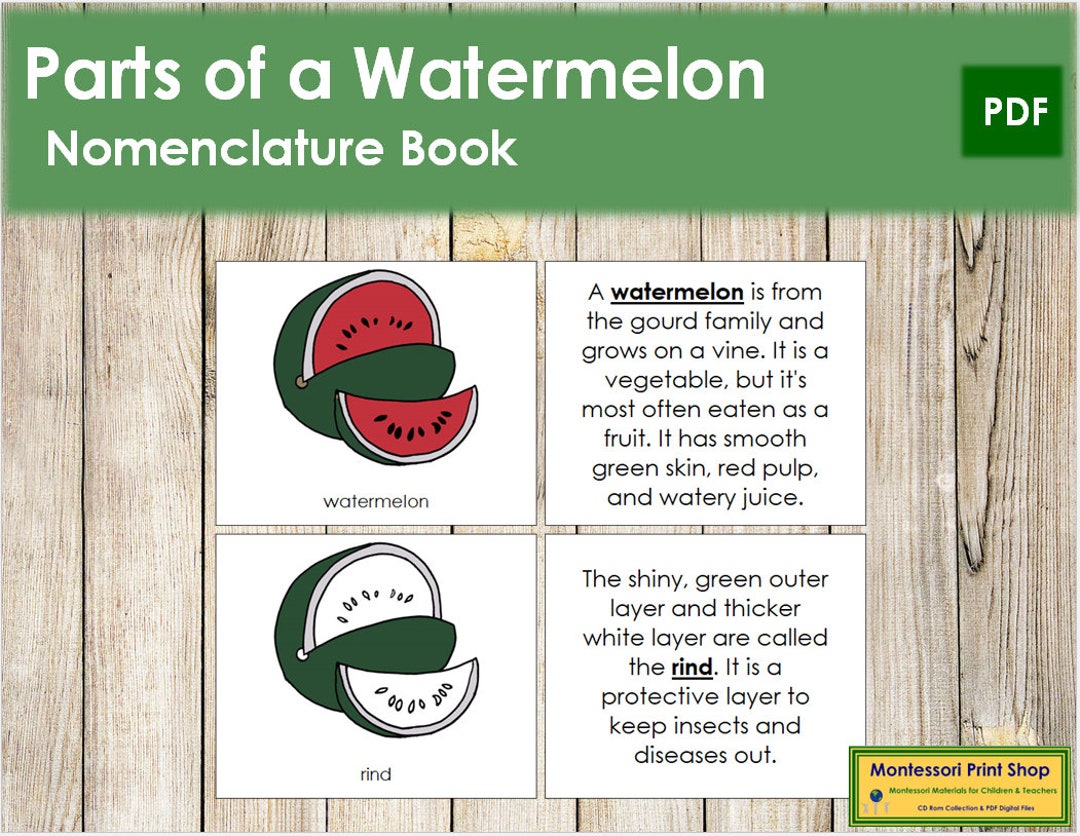 Parts of a Watermelon Nomenclature Book Botany Printable Etsy Canada