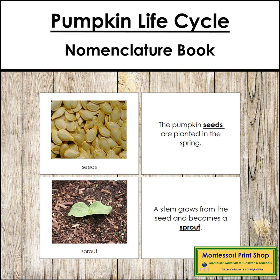 The Pumpkin Life Cycle Book - Montessori Nomenclature - Printable ...