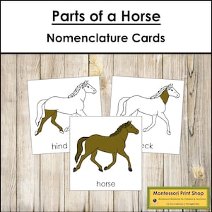 Tarjetas de 3 partes con la nomenclatura de las partes del caballo - Zoología Montessori - Materiales Montessori imprimibles - Descarga digital