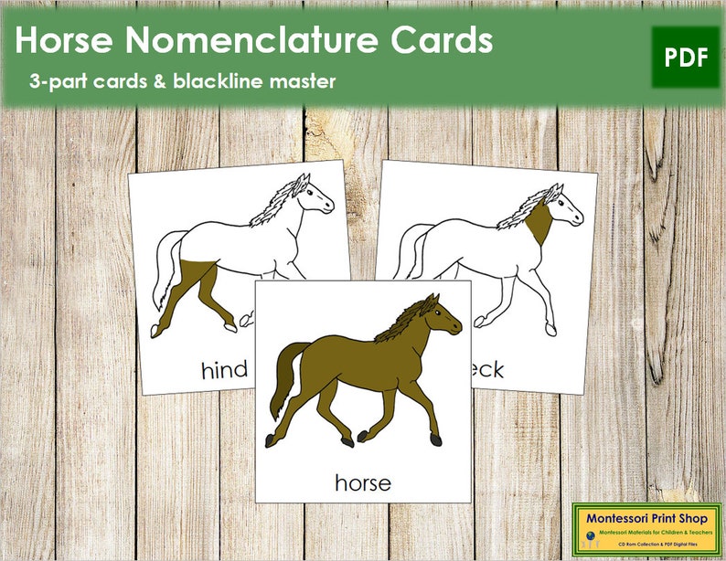 Parts of a Horse Nomenclature 3-part Cards Montessori | Etsy