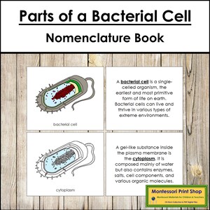 Parties d'un livre de nomenclature de cellules bactériennes - Science - matériaux Montessori imprimables - téléchargement numérique