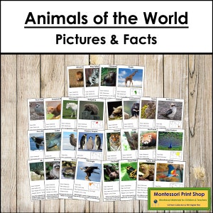 Animals of the World Information Cards Bundle (color-coded) - Montessori Zoology - Printable Montessori Cards - Digital Download