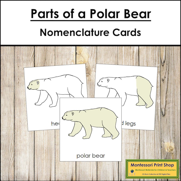 Parts of a Polar Bear Nomenclature 3-Part Cards - Montessori Zoology - Printable Montessori Materials - Digital Download