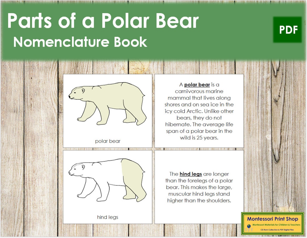 Parts of a Polar Bear Nomenclature Book Montessori Zoology Etsy UK