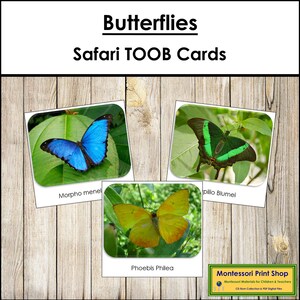 Cartões TOOB Butterflies Safari - Cartões Montessori para impressão - Download digital
