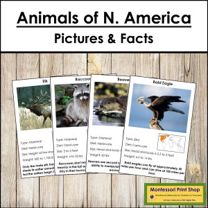 Dieren van Noord-Amerika feiten en fotokaarten (kleurgecodeerd) - montessorizoölogie - afdrukbare montessorikaarten - digitale download