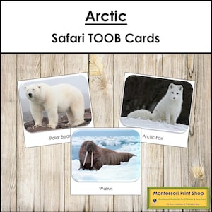 Arctic Safari TOOB Cards - Cartes Montessori imprimables - Téléchargement numérique