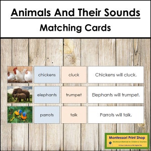 Animali e i loro suoni (colore) - Zoologia - Schede Montessori stampabili - Download digitale