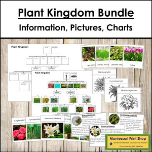 Bundle de cartes, graphiques et informations Plant Kingdom - botanique Montessori - cartes Montessori imprimables - téléchargement numérique