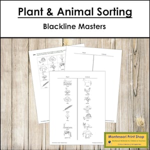 Plant and Animal Sorting Blackline Masters - Science - Printable Montessori Materials - Digital Download