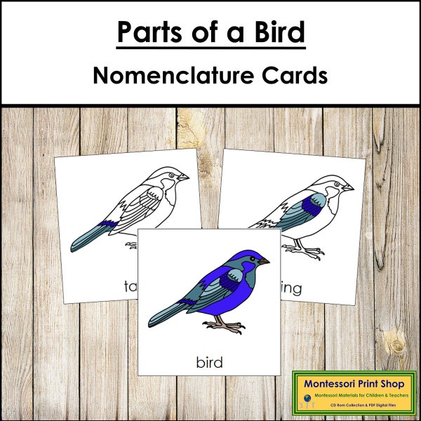 Teile einer Vogel Nomenklatur 3-teilige Karten - Montessori Zoologie - Montessori Materialien - Digitaler Download