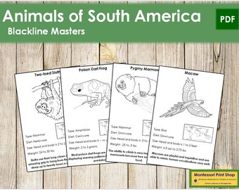 Animals of South America Facts & Picture Cards (Blackline Master) - Montessori Zoology - Printable Montessori Cards - Digital Download