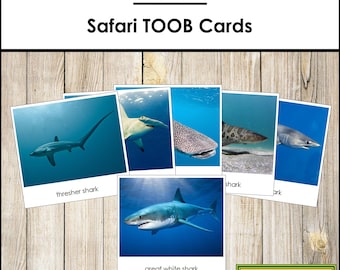 Sharks Safari TOOB-kaarten: driedelige montessorikaarten (digitale download)