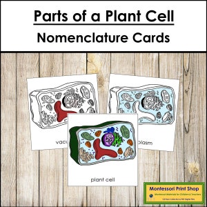 Parts of a Plant Cell Nomenclature 3-Part Cards - Science - Printable Montessori Materials - Digital Download