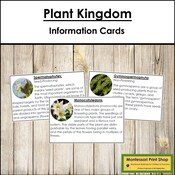 Conifer Vs Deciduous Trees: Printable Classroom Poster for Tree ...